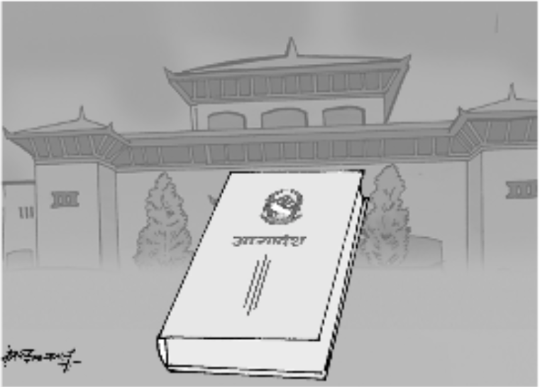 ‘राष्ट्रिय गौरव आयोजनाका समस्या’